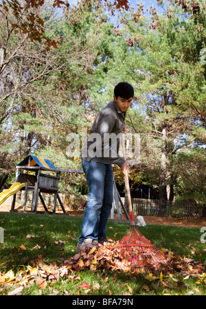 Teenage boy raking leaves Stock Photo