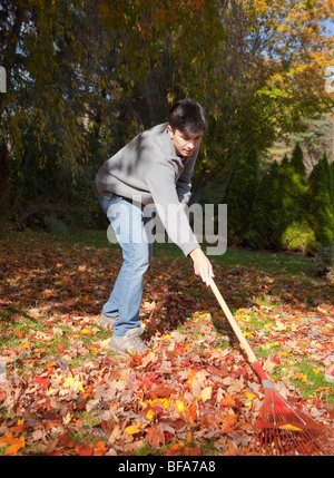 Teenage boy raking leaves in a backyard Stock Photo