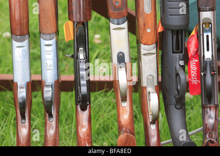 Shotguns (2 Over & Under, Semi Auto, 2 O&U, Pump Action, Semi Auto) Stock Photo