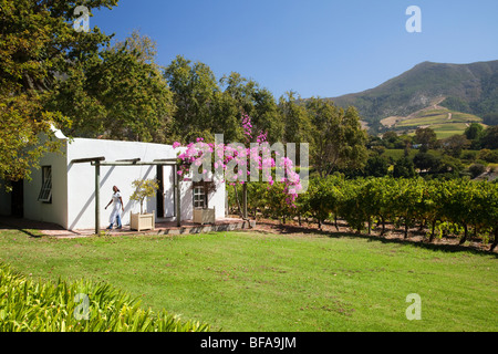 The beautiful Constantia wine-growing region of South Africa, near Cape Town Stock Photo
