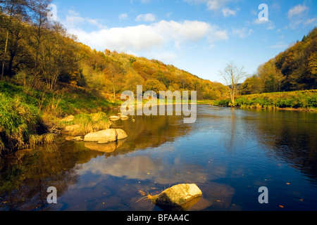 Walking in the Wye Valley,along the River Wye,when the beautiful rich Autumn leaf colours of the trees light up the river banks Stock Photo