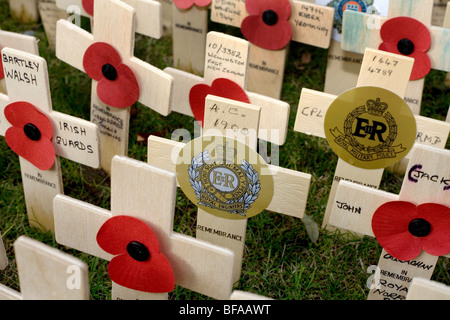 Remembrance Day crosses and poppies Stock Photo