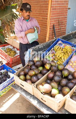 African market. Avocados Stock Photo: 94165167 - Alamy