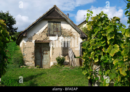 Wine cellars of the South Burgenland vineyards, Rechnitz, Austria Stock Photo