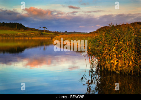 Loe Pool; near Helston; Cornwall at sunset Stock Photo