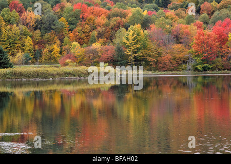 Quaker Lake, Allegany State Park, New York Stock Photo