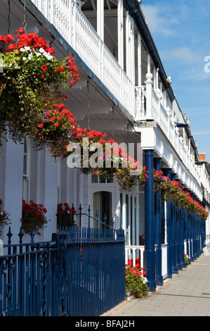 A row of hanging flower baskets on the front of a seaside building in Sidmouth, Dorset. Stock Photo