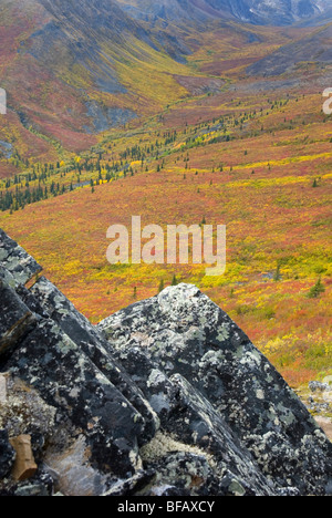 Tundra of the Grizzly Creek Valley displaying vibrant autumn colors ...