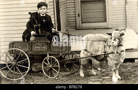 Little Boy & Dog in Goat Drawn Wagon Stock Photo