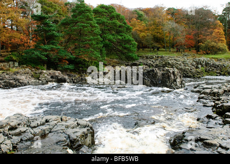 Low Force Waterfall, Upper Teesdale Stock Photo