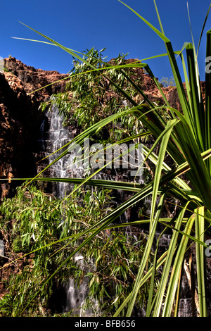 Twin Falls, Kakadu National Park, Northern Territory, Australia Stock Photo