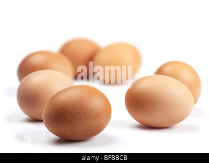 Chicken brown egg closeup on white background Stock Photo