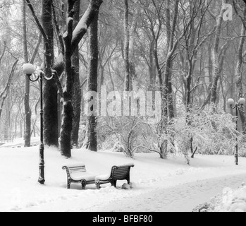 Benches in snow in winter park Stock Photo