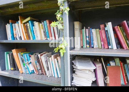 Shelves full of secondhand books Stock Photo