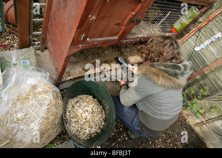 Women Cleaning rabbit hutch Garden Stock Photo - Alamy