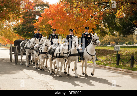 An American military funeral in Arlington Cemetery, Washington DC USA Stock Photo