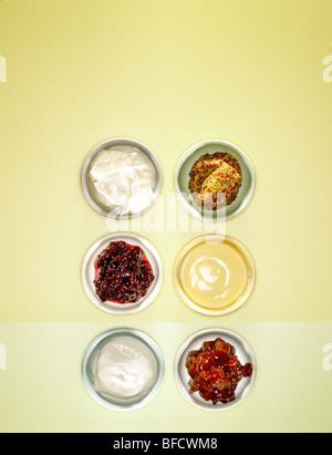 Condiments used on sandwiches, mayonnaise, French mustard, cranberry sauce, English mustard, sour cream and relish Stock Photo