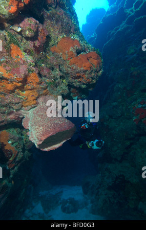 A diver swimming through a swim-through in Little Cayman. Stock Photo