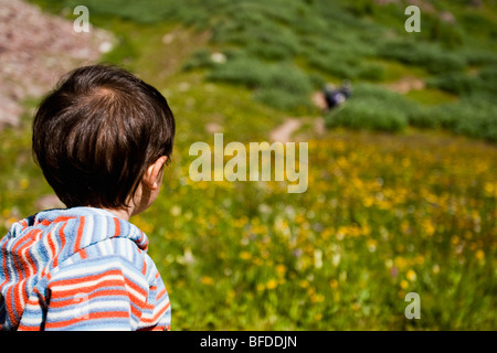 14 month old boy playing in meadow while on multiday backpacking trip in the Maroon Bells in Snowmass Wilderness outside Aspen. Stock Photo