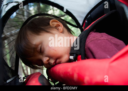 14 month old boy sleeps in backpack carried by mother, backpacking in Maroon Bells Snowmass Wilderness outside Aspen, Colorado Stock Photo