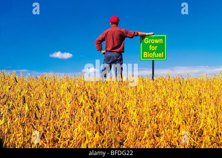 A farmer looks out over his maturing soybean field grown for biofuel, near Lorette, Manitoba, Canada