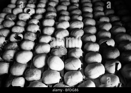 Skulls are lined up at the Murambi Genocide Memorial outside of Gikongoro in southern Rwanda. Stock Photo