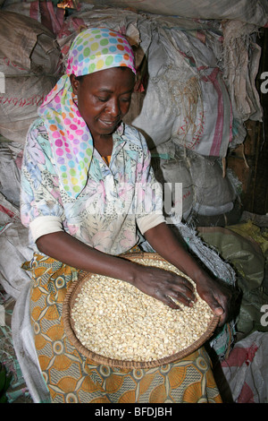 Tanzanian Woman Sorting Beans For Sale In Arusha's Central Market, Tanzania Stock Photo