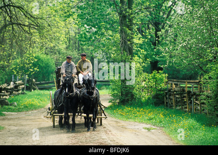 Two horse stagecoach, Upper Canada Village, Morrisburg, Ontario, Canada. Stock Photo