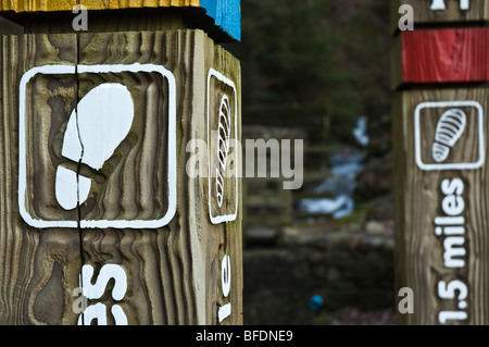 Footpath signs at Dodd Wood, Bassenthwaite, Lake District National Park, Cumbria, England, UK Stock Photo