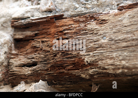 wet rot on a wooden lintel over a window Stock Photo