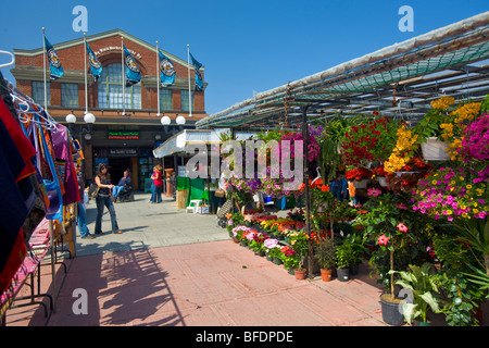 Outdoor flower market at the ByWard Market, Ottawa, Ontario, Canada Stock Photo