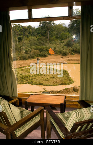 View from Room at Serena Mountain Lodge - Mount Kenya National Park, Kenya Stock Photo