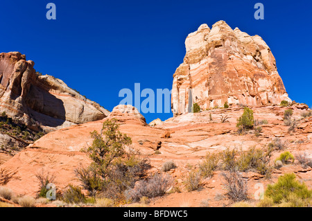 Rock formations along the trail to lower Calf Creek Falls, Grand Staircase-Escalante National Monument, Utah Stock Photo