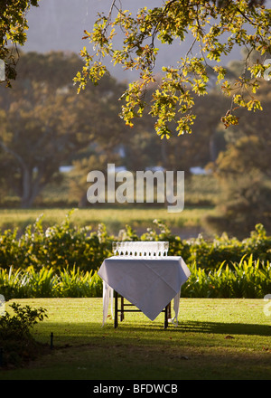 Scene from Constantia, the wine-growing region near Cape Town, South Africa Stock Photo