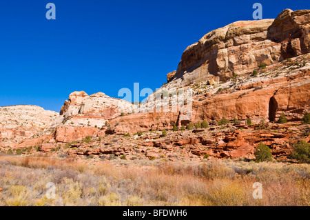 Rock formations along the trail to lower Calf Creek Falls, Grand Staircase-Escalante National Monument, Utah Stock Photo