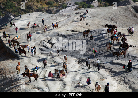 Horses and tourists at the base of Mount Bromo volcano in Java, Indonesia Stock Photo