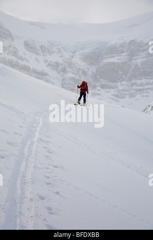 A skier uptracking on the Wapta Icefields, Banff National Park, Alberta, Canada Stock Photo