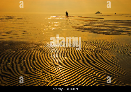 People on the beach at sunset, Wahnekewaning Beach, Ontario, Canada Stock Photo