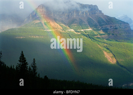 Rainbow, Icefields Parkway near Peyto Lake, Banff National Park, Alberta, Canada Stock Photo