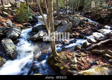 Creek, Roaring Fork Motor Nature Trail, Great Smoky Mountains National Park, Tennessee Stock Photo