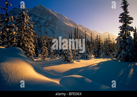 Sunset over winter landscape, at Boom Lake, Banff National Park, Alberta, Canada Stock Photo