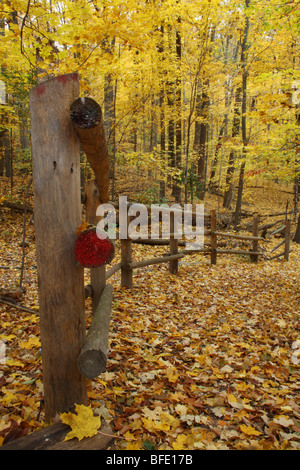 Southwestern Ontario Canada Urban Woodlot Path Stock Photo - Alamy