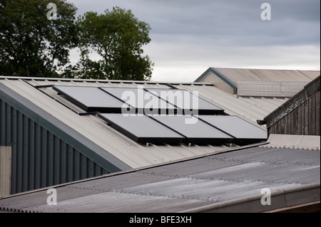 Solar panels on dairy roof which supply hot water to clean milking parlour Stock Photo