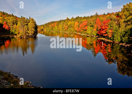 Water reflections in lake in Algonquin Park in fall, Ontario, Canada Stock Photo