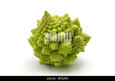 Romanesco broccoli (or Roman Cauliflower) on a white background Stock Photo