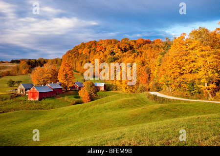 Autumn and fall foliage at the Jenne Farm in Reading Vermont Stock ...