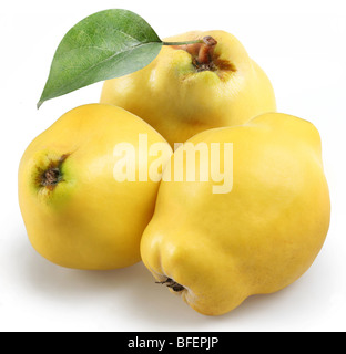 quince on a white background Stock Photo
