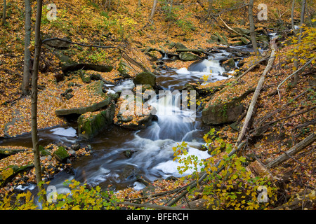 Grindstone Creek in fall, Niagara Escarpment, Bruce Trail, Hamilton, Ontario, Canada Stock Photo