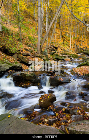 Grindstone Creek in fall, Niagara Escarpment, Bruce Trail, Hamilton, Ontario, Canada Stock Photo