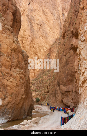 Todra Gorge in Morocco Stock Photo